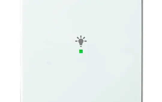 BUSCH-JAEGER 6231-10-84 beschr. Wippe flex Future 1-fach, Licht | studioweiß