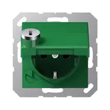 JUNG AS1520BFKLSLGN EDV-Steckdose AS Berührungsschutz, Klappdeckel | grün