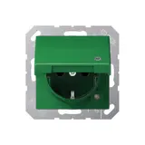 JUNG AS1520BFKLKOGN EDV-Steckdose AS SV, Kontrolllicht, selbstschl. Klappdeckel | grün