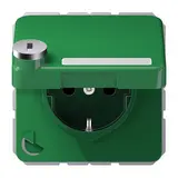 JUNG CD1520NAKLSLGN beschr. EDV-Steckdose CD Berührungsschutz, Klappdeckel, Schloss | grün