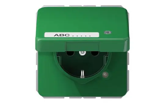 JUNG CD1520NAKLKOGN beschr. EDV-Steckdose CD Kontrolllicht, selbstschl. Klappdeckel | grün