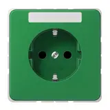JUNG CD1520BFNAGN beschr. EDV-Steckdose CD Standard | grün