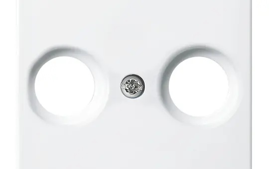 BUSCH-JAEGER 2531-914 Antennenabdeckung Balance SI 2-fach | alpinweiß