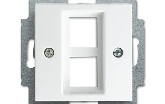 BUSCH-JAEGER 2561-02-914 UAE-Zentralscheibe Balance SI 2-fach | alpinweiß