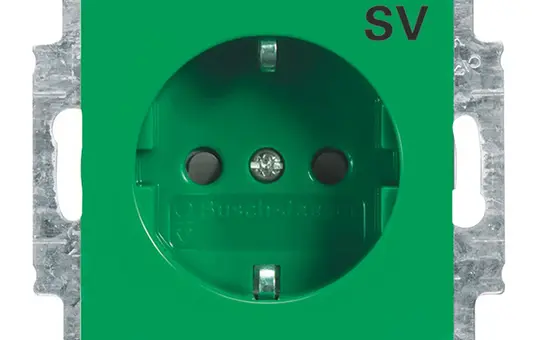 BUSCH-JAEGER 20EUCB-13-914-10 EDV-Steckdose Balance SV | grün