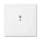 BUSCH-JAEGER 6231-10-914 beschr. Wippe flex Balance SI 1-fach, Licht | alpinweiß