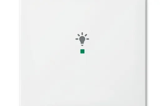 BUSCH-JAEGER 6231-10-914 beschr. Wippe flex Balance SI 1-fach, Licht | alpinweiß