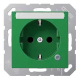 JUNG A1520BFNAKOGN beschr. EDV-Steckdose A/AS Kontrolllicht | grün