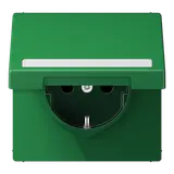 JUNG LS1520BFNAKLGN beschr. EDV-Steckdose LS Klappdeckel | grün