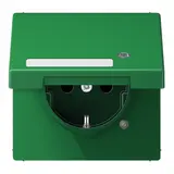 JUNG LS1520NAKLKOGN beschr. EDV-Steckdose LS Kontrolllicht, Klappdeckel | grün