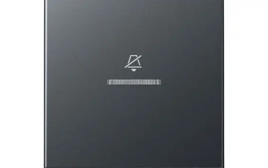 JUNG ARUKO5DANM Hotel-Kontrollwippe Serie A Innenstelle mit Symbol | anthrazit matt