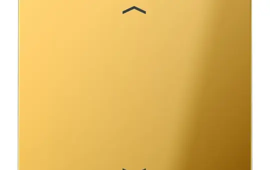 JUNG GO1700P Steuertaste mit Pfeilsymbolen Serie LS 1-fach | goldfarben