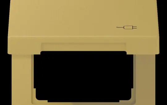 JUNG ME2990KLSOCC Klappdeckel mit Symbol Serie LS Stecker-Symbol | messing classic