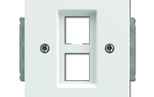 BUSCH-JAEGER 2561-02-84 Modular-Jack-Einsatz Future 2-fach | studioweiß