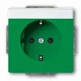 BUSCH-JAEGER 20EUCNB-13-82 beschr. EDV-Steckdose Future Berührungsschutz | grün