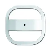 BUSCH-JAEGER 6889/50-24 Präsenzmelder Dekorrahmen Corridor | studioweiß matt