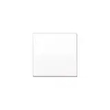 JUNG AS1700WW Steuertaste Serie AS 1-fach | alpinweiß