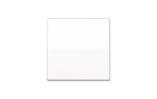 JUNG AS1700WW Steuertaste Serie AS 1-fach | alpinweiß