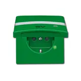 BUSCH-JAEGER 20EUGKBLN-13-102 beschr. EDV-Steckdose Allw. 44 Kontrolllicht, Klappdeckel | grün