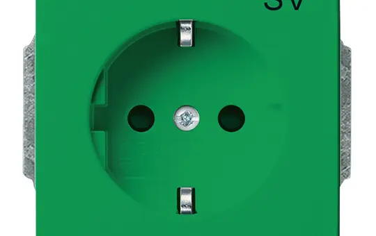 BUSCH-JAEGER 20EUC-13-82-101 EDV-Steckdose Future SV | grün