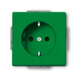 BUSCH-JAEGER 20EUCKS-13-82-101 EDV-Steckdose Future Berührungsschutz | grün