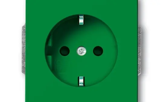 BUSCH-JAEGER 20EUCKS-13-82-101 EDV-Steckdose Future Berührungsschutz | grün