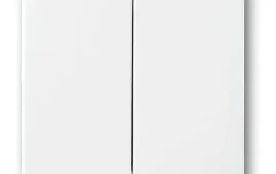 BUSCH-JAEGER 6736FoH-84 FoH-Wippe Future 2-fach | studioweiß hochglanz