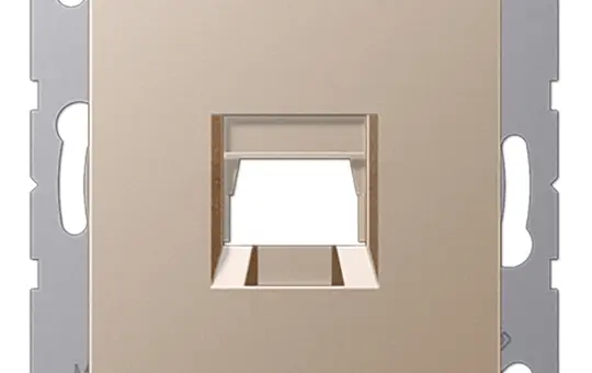 JUNG A1569-1WECH Modular-Jack-Einsatz Serie A 1-fach, Assmann | champagner