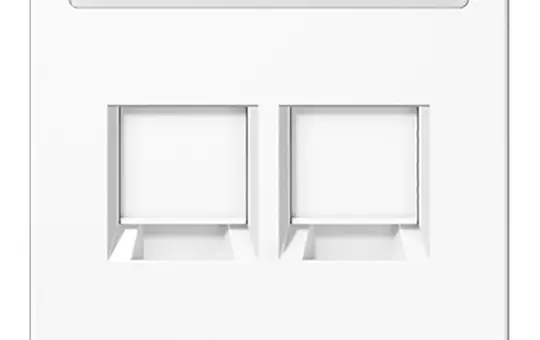JUNG LS1969-2NAWEWW Modular-Jack-Abdeckung Serie LS 2-fach, Schriftfeld, für Universalmodul | alpinweiß