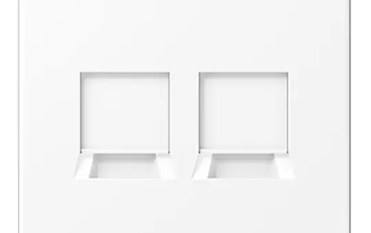 JUNG LS1969-2WEWWM Modular-Jack-Abdeckung Serie LS 2-fach, für Universalmodul | schneeweiß matt