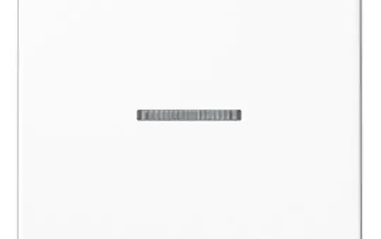 JUNG A101KO5BFWW KNX-Kontrollwippe Serie A 1-fach, Thermoplast | alpinweiß