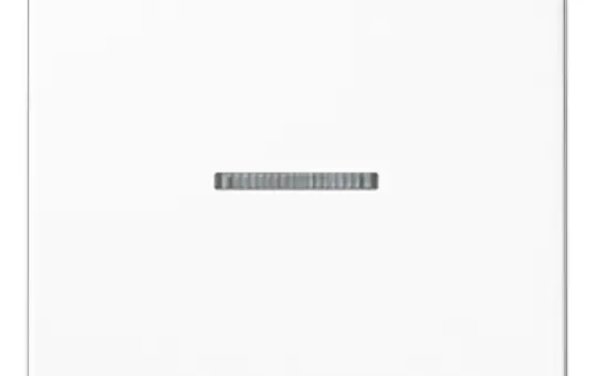 JUNG A101KO5WW KNX-Kontrollwippe Serie A 1-fach | alpinweiß