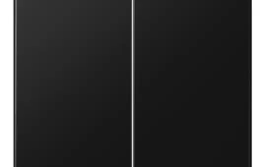 JUNG LS102SWM KNX-Wippe F10 Serie LS 2-fach | graphitschwarz matt