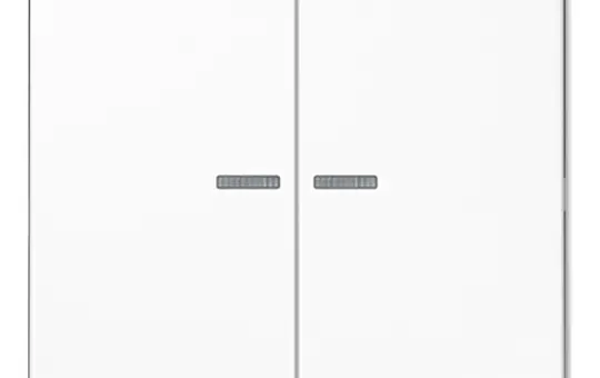 JUNG LS102KO5WW KNX-Kontrollwippe F10 Serie LS 2-fach | alpinweiß