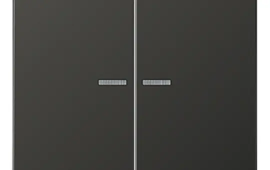 JUNG AL102KO5AN KNX-Kontrollwippe F10 Serie LS 2-fach | anthrazit