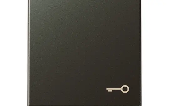 JUNG A590TMO beschr. Wippe Serie A 1-fach, Schlüssel | mokka