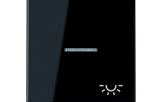 JUNG A590KO5LSW beschr. Kontrollwippe Serie A 1-fach, Licht | schwarz