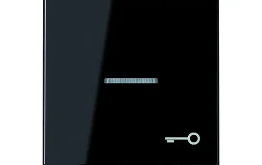 JUNG A590KO5TSW beschr. Kontrollwippe Serie A 1-fach, Schlüssel | schwarz