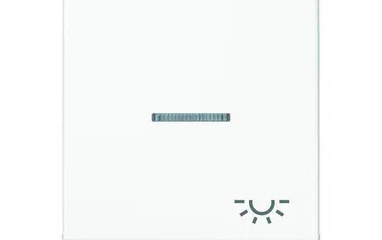 JUNG A590BFKO5LWW beschr. Kontrollwippe Serie A 1-fach, Licht, Thermoplast | alpinweiß