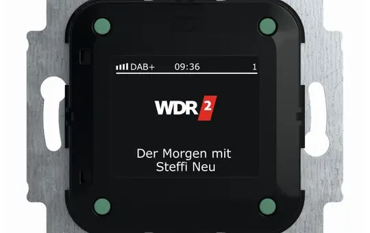 BUSCH-JAEGER 8215U-101 Unterputzradio-Einsatz DAB+