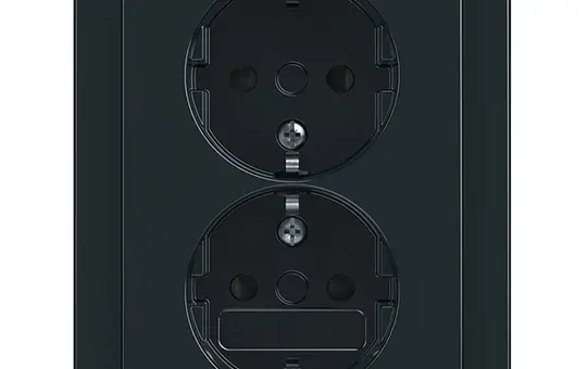 BUSCH-JAEGER 202EUJB-81 SCHUKO-Steckdose komplett Future 2-fach, Berührungsschutz | anthrazit