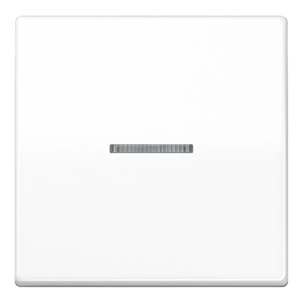 JUNG AS10911STRFWW KNX-RF-Taster AS 1-fach | alpinwei online kaufen im  Voltus Elektro Shop