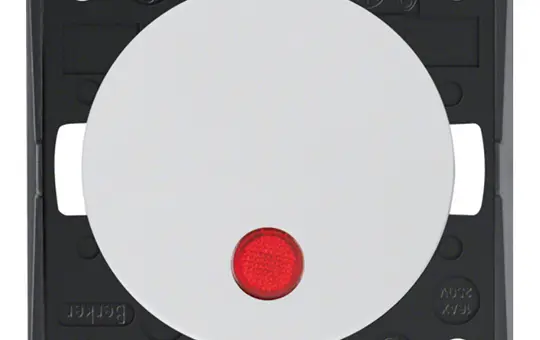 BERKER Kontrollschalter Design Flow 