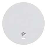 BERKER beschr. Kontrollwippe Serie R.1/R.3 