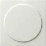 GIRA Blindabdeckung S-Color 