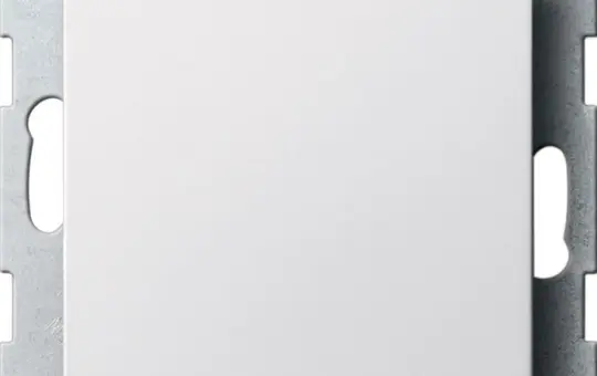 GIRA Blindabdeckung System 55 