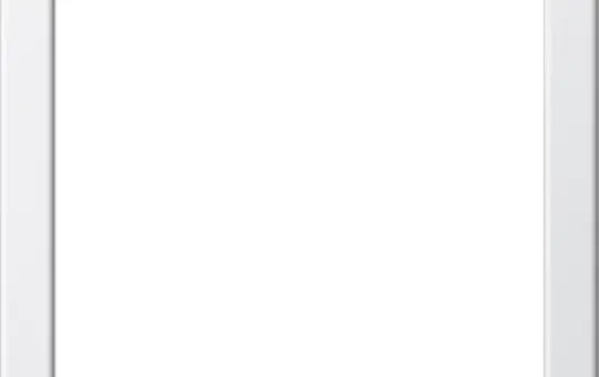 GIRA Montagerahmen System 55 