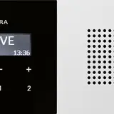 GIRA Unterputz-Radio-Set System Fläche 