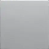 BERKER Elektronik-Taste Serie Q 