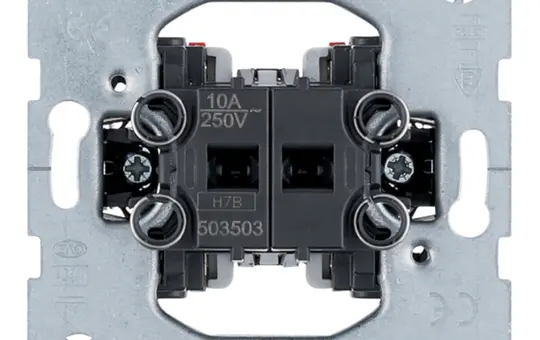 BERKER 503503 Wipptaster 2 Schließer, getrennte Klemmen